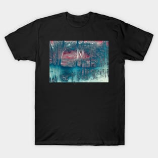 Winter Sunset T-Shirt